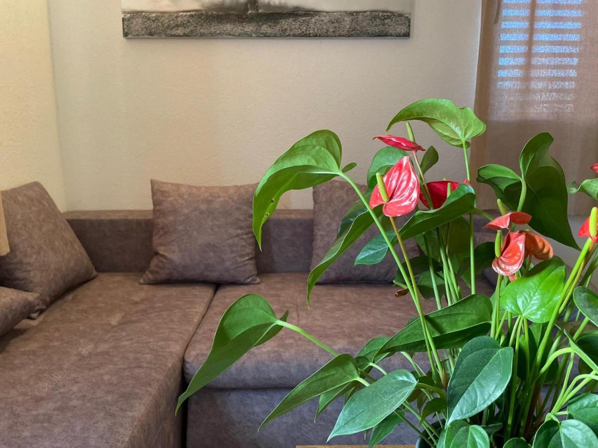 Studio Apartment Dona Трогир Экстерьер фото